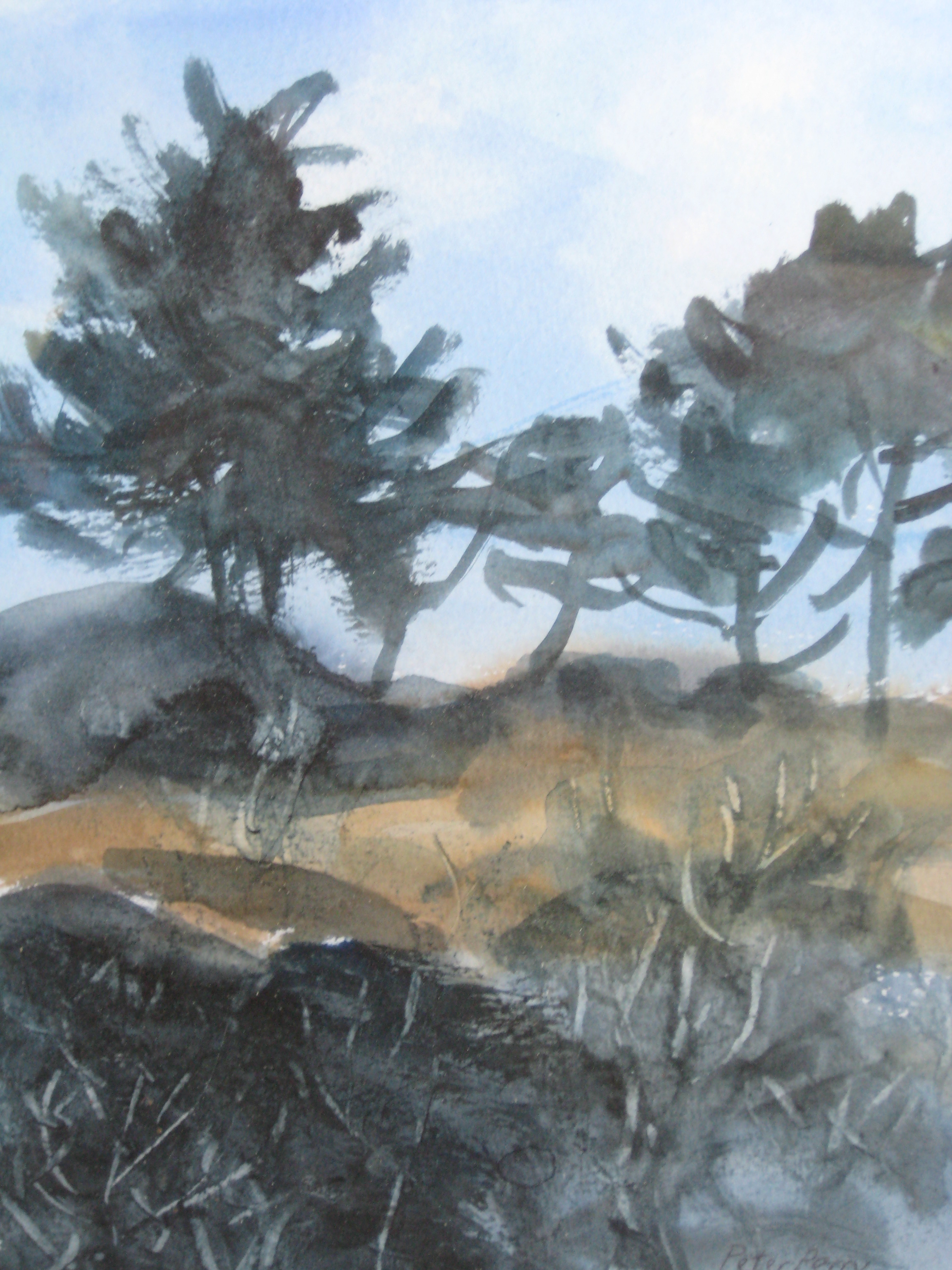SKYLINE TREES