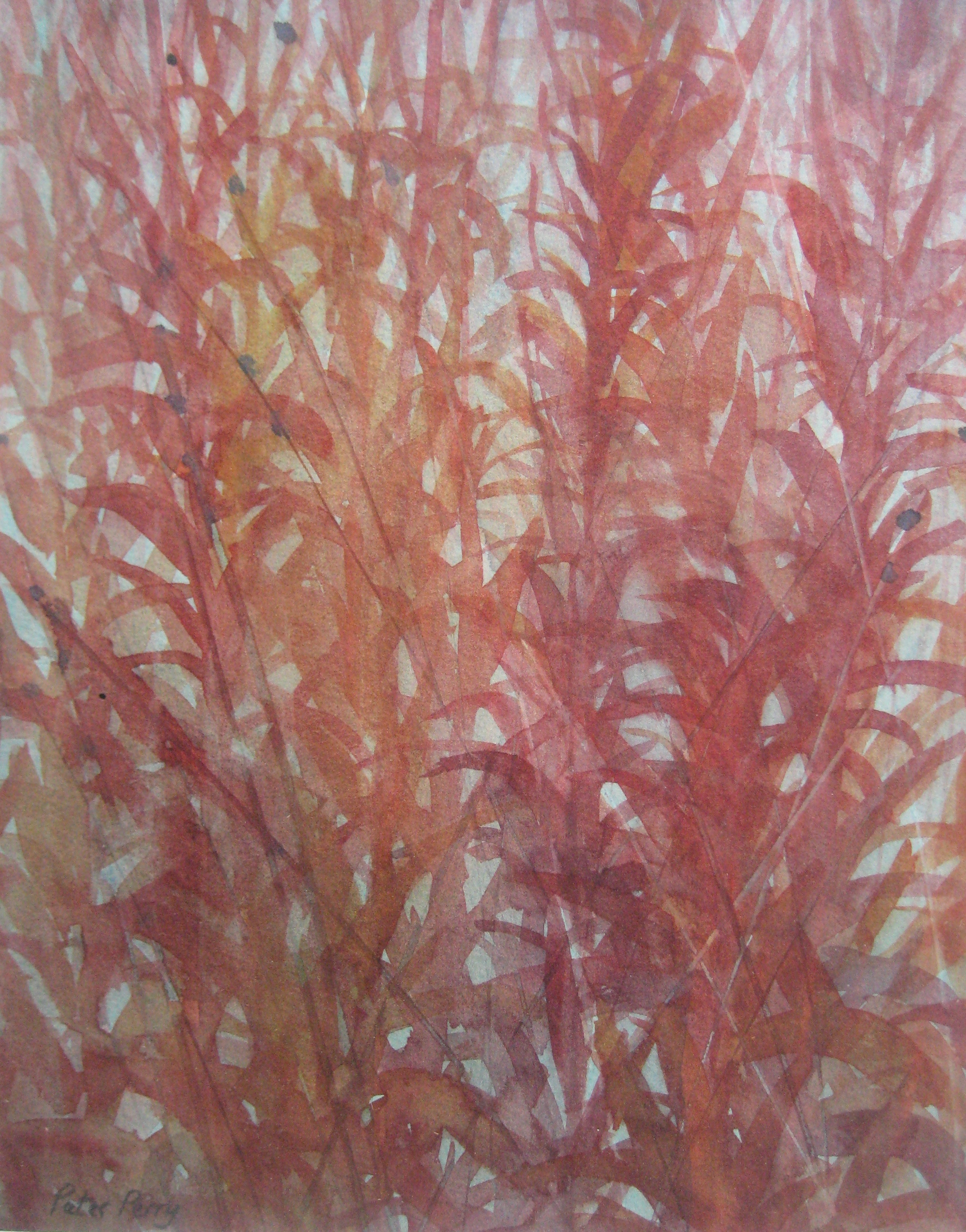 ROSEBAY WILLOW HERB 13X10" (33X26cm) Watercolour