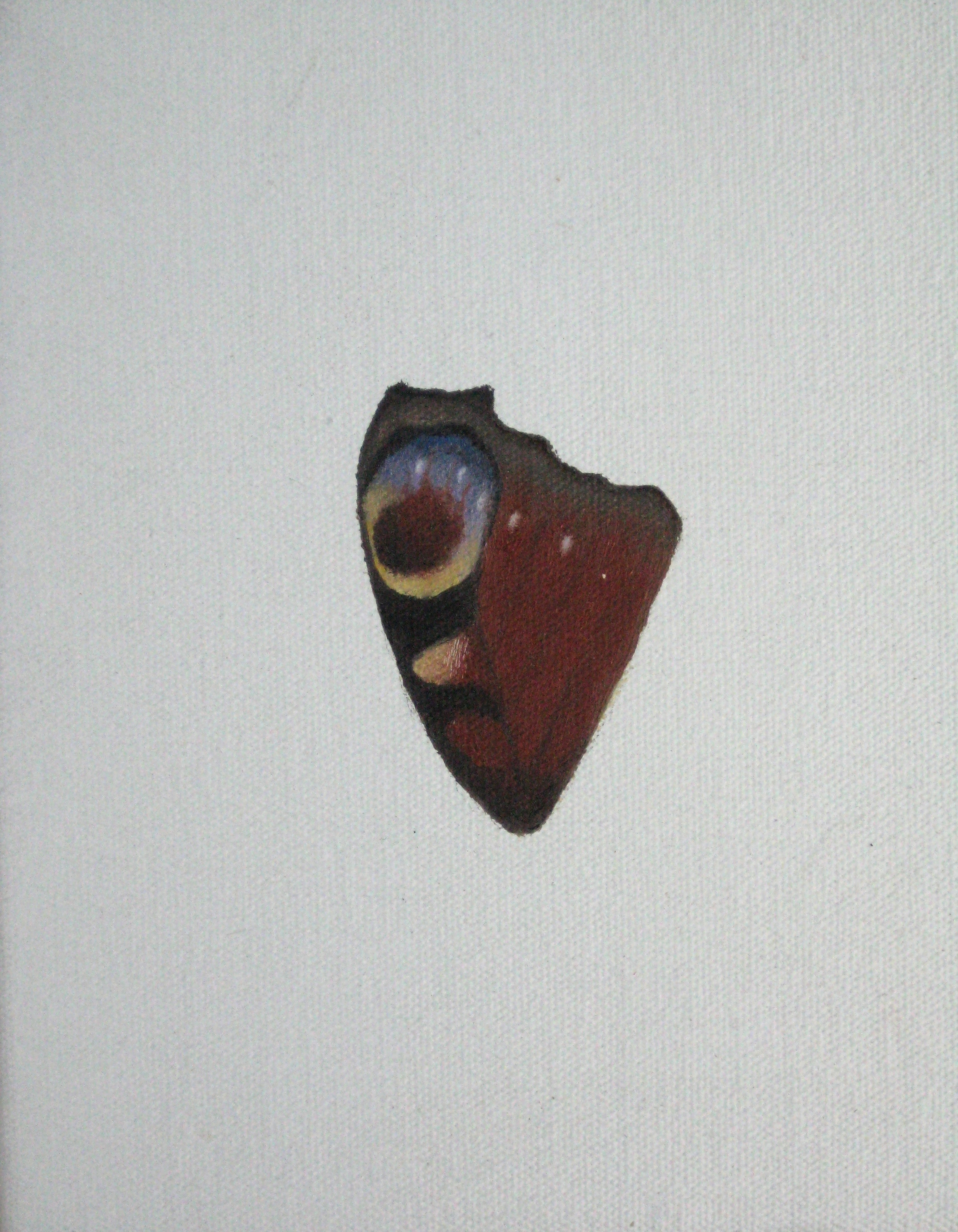 BUTTERFLY WING