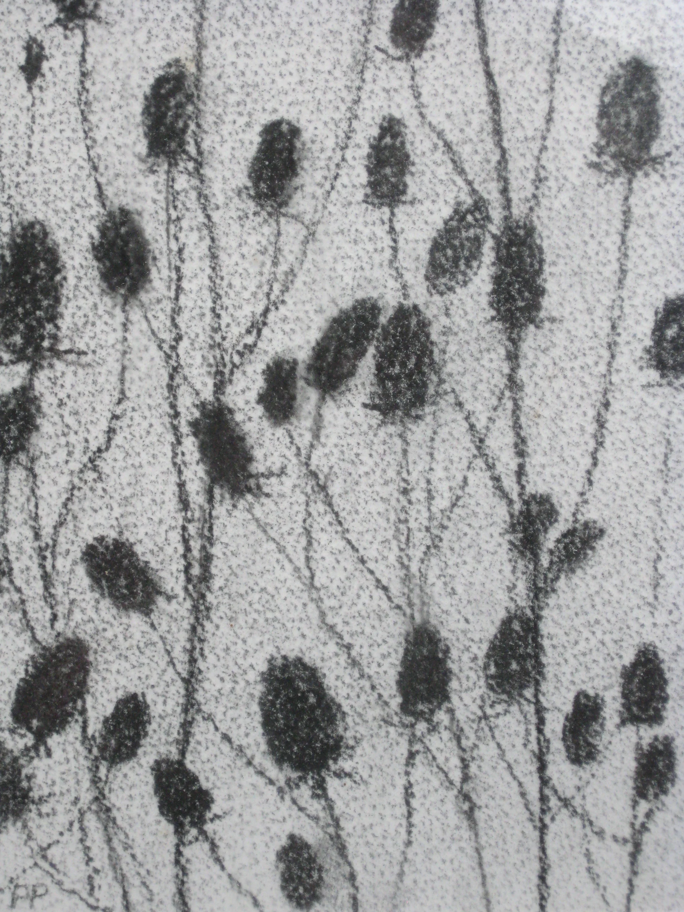 TEASLES
