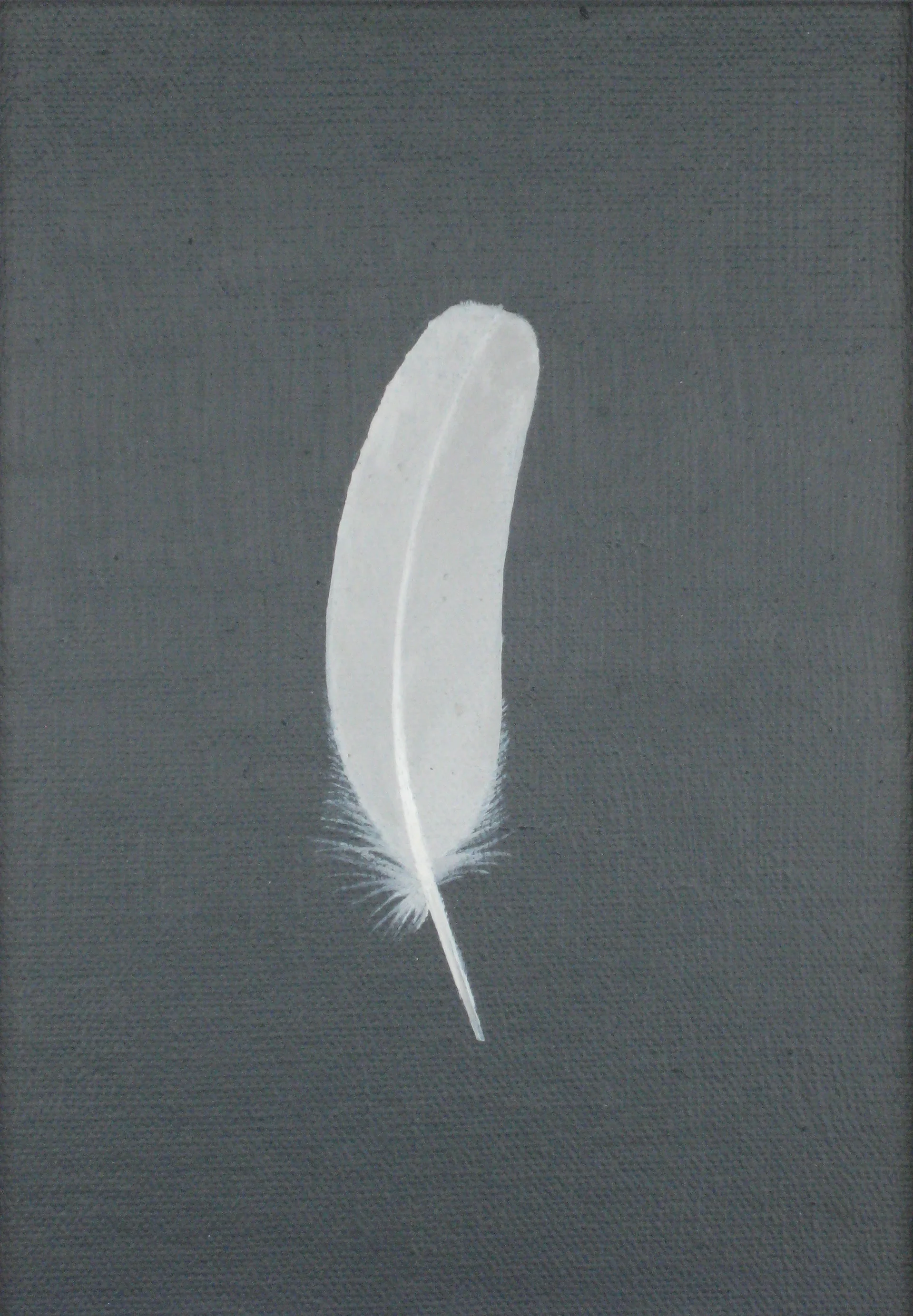 SMALL WHITE FEATHER