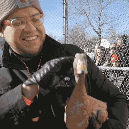 Duck-races-1.gif