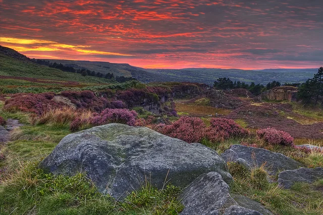Moor by James Whitesmith