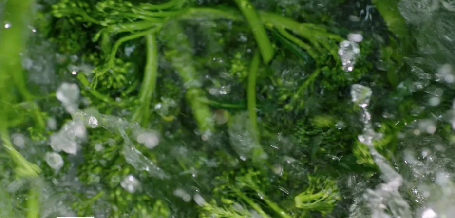 Freshly // Deliciously Healthy