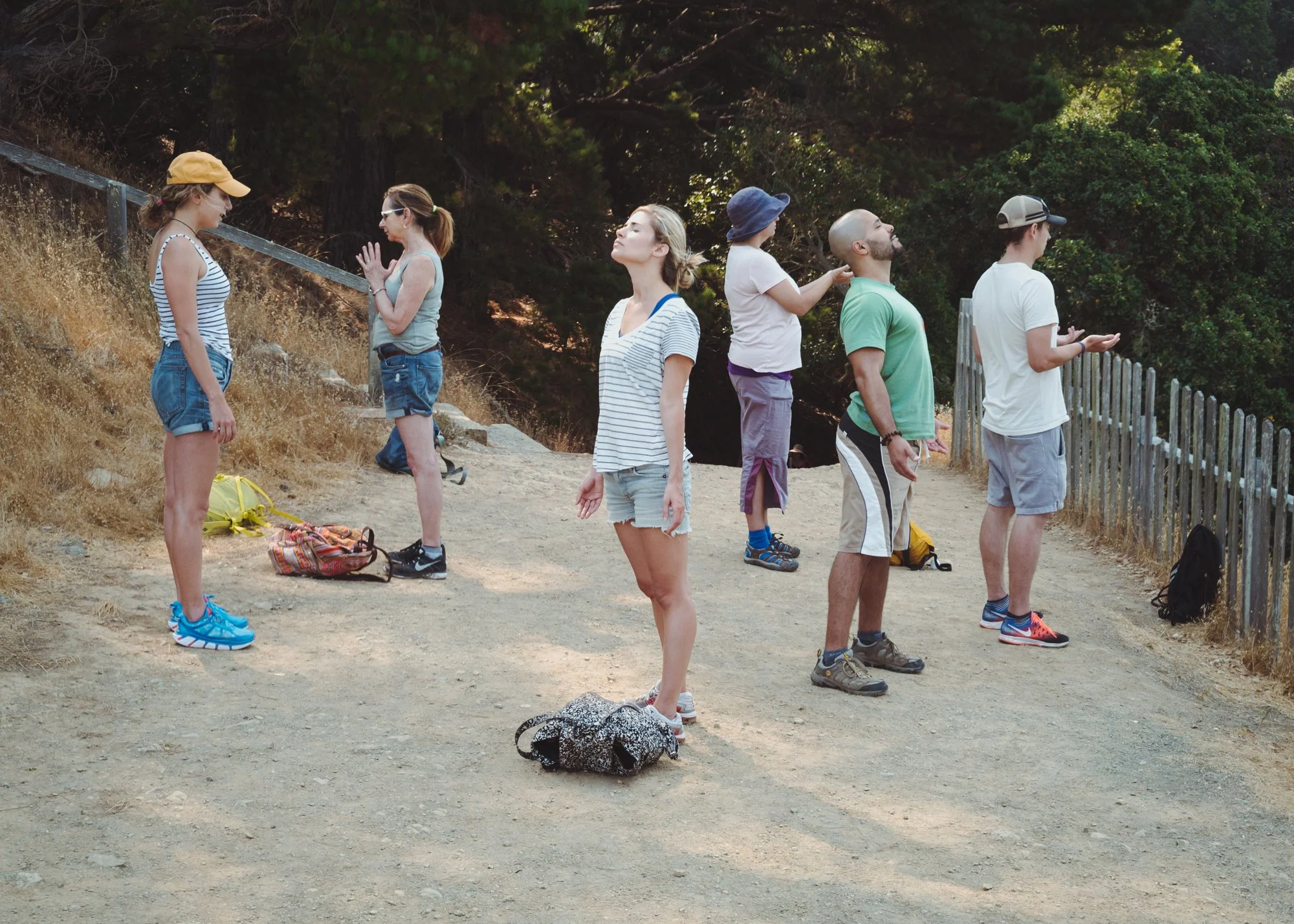 forest_bathing_11.jpg