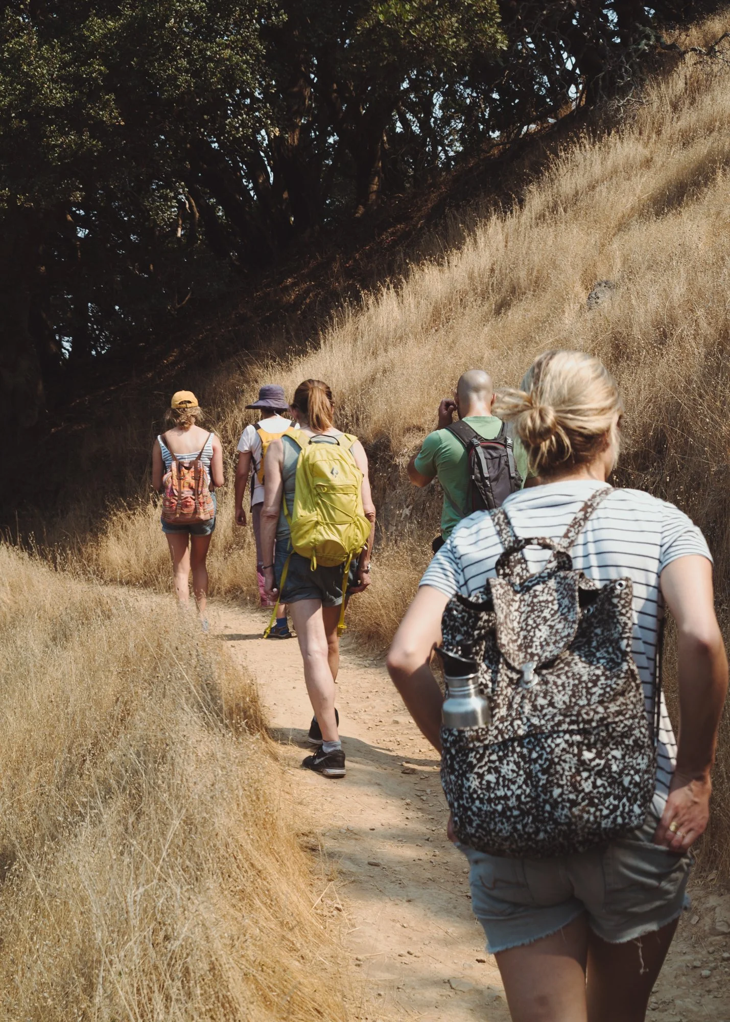 forest_bathing_14.jpg