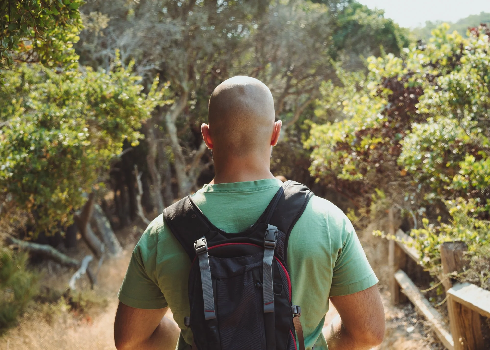 forest_bathing_15.jpg