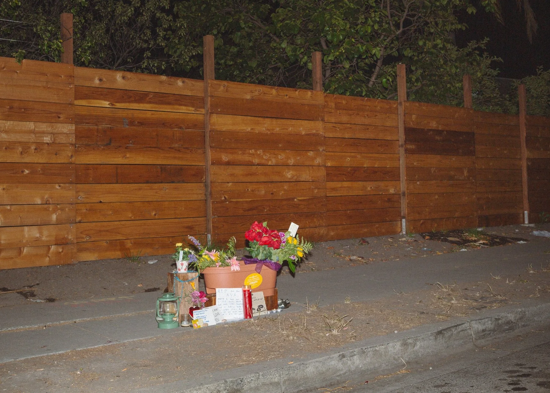 16_TA0A6102-min.jpg