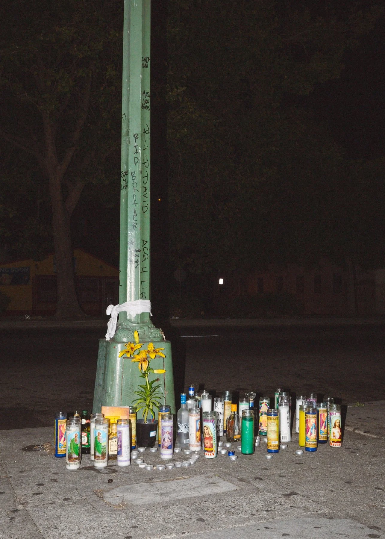 29_TA0A6062-min.jpg