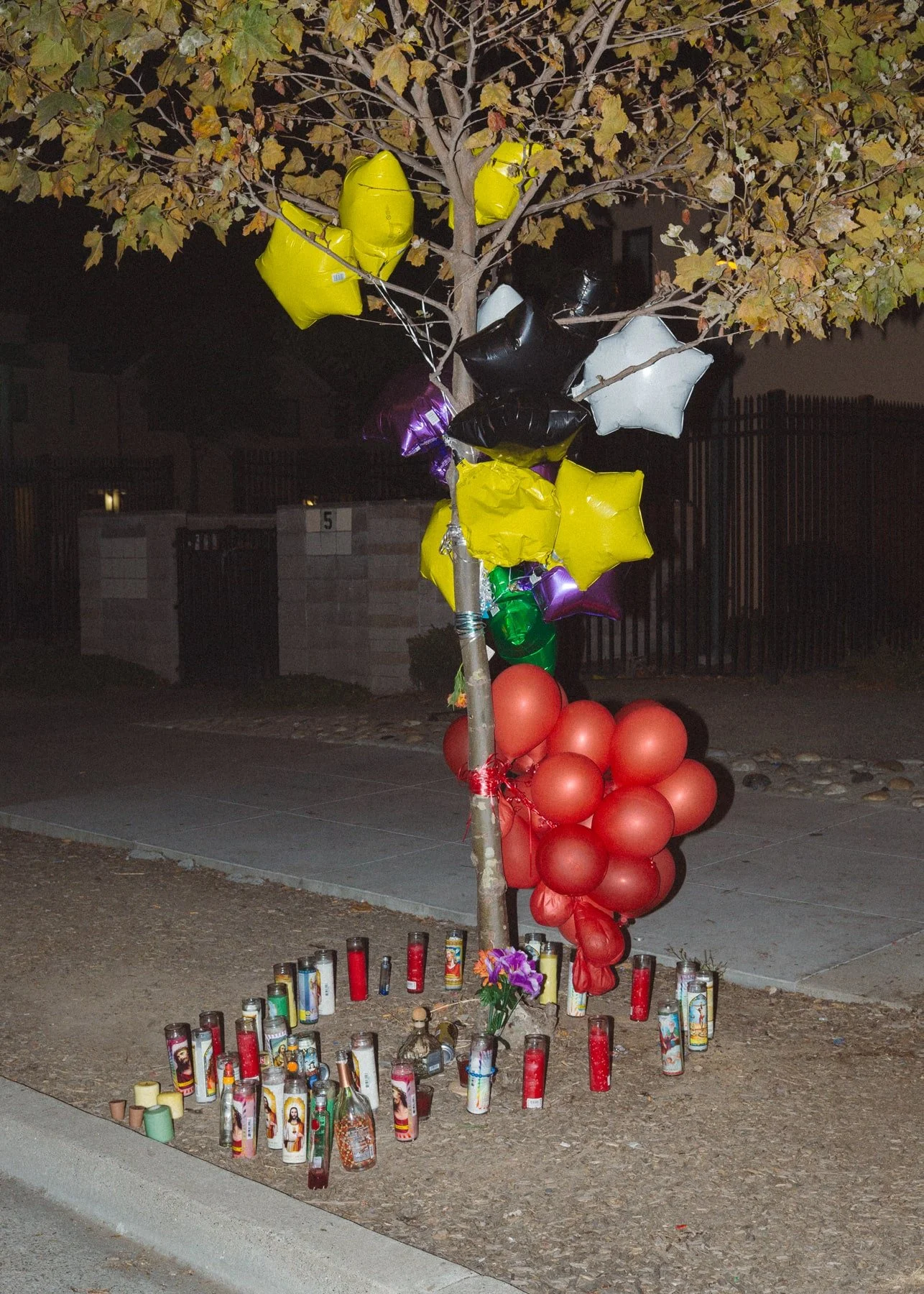 39_TA0A7877-min.jpg