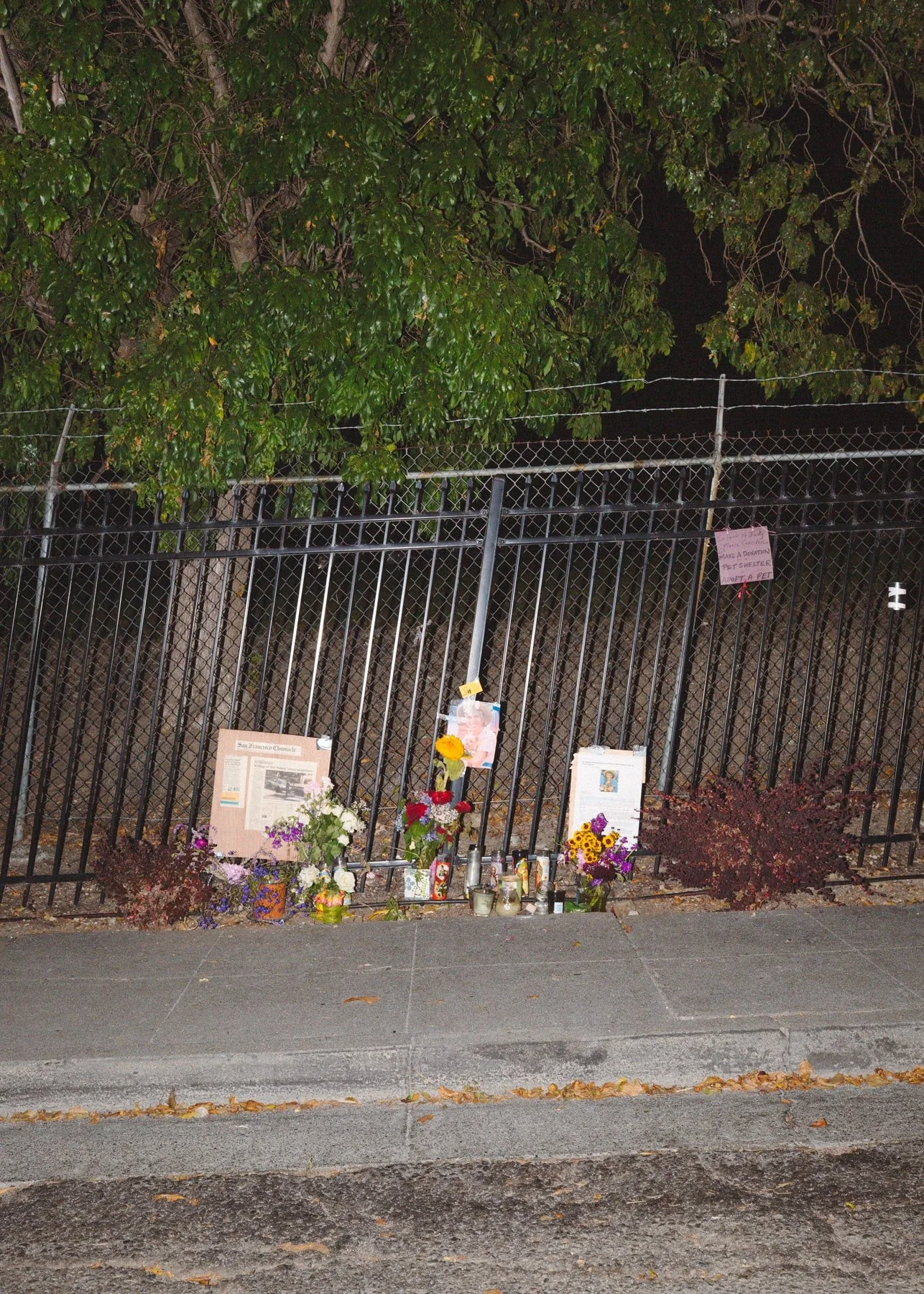 43_TA0A7781-min.jpg