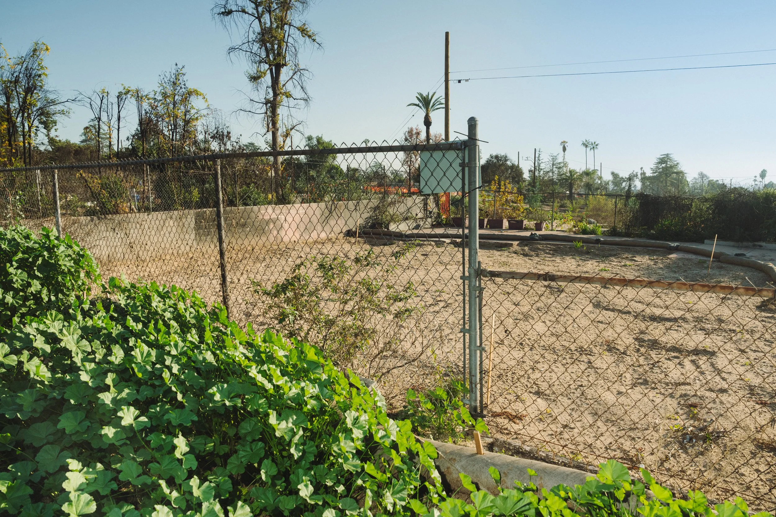 usa-toda-altadena-tauszik-04.jpg