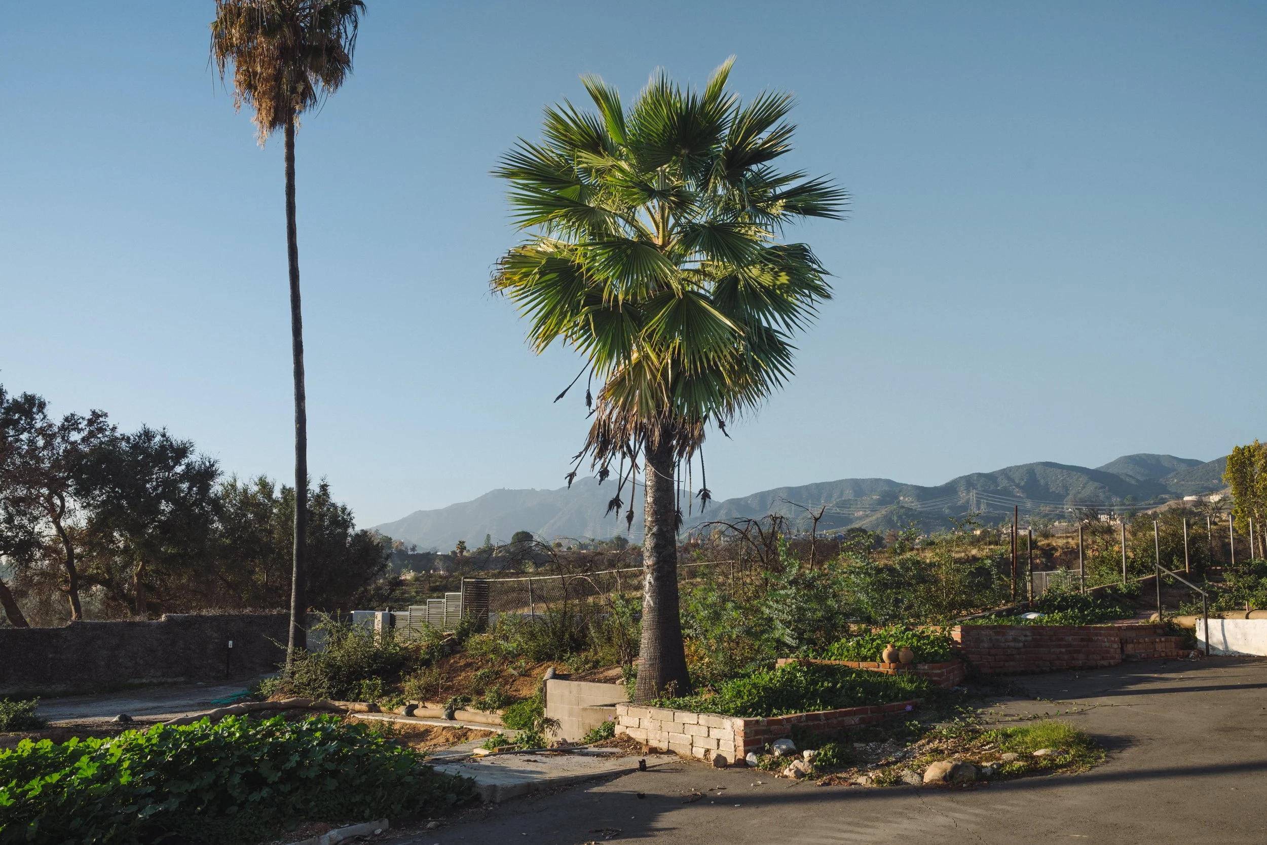 usa-toda-altadena-tauszik-06.jpg