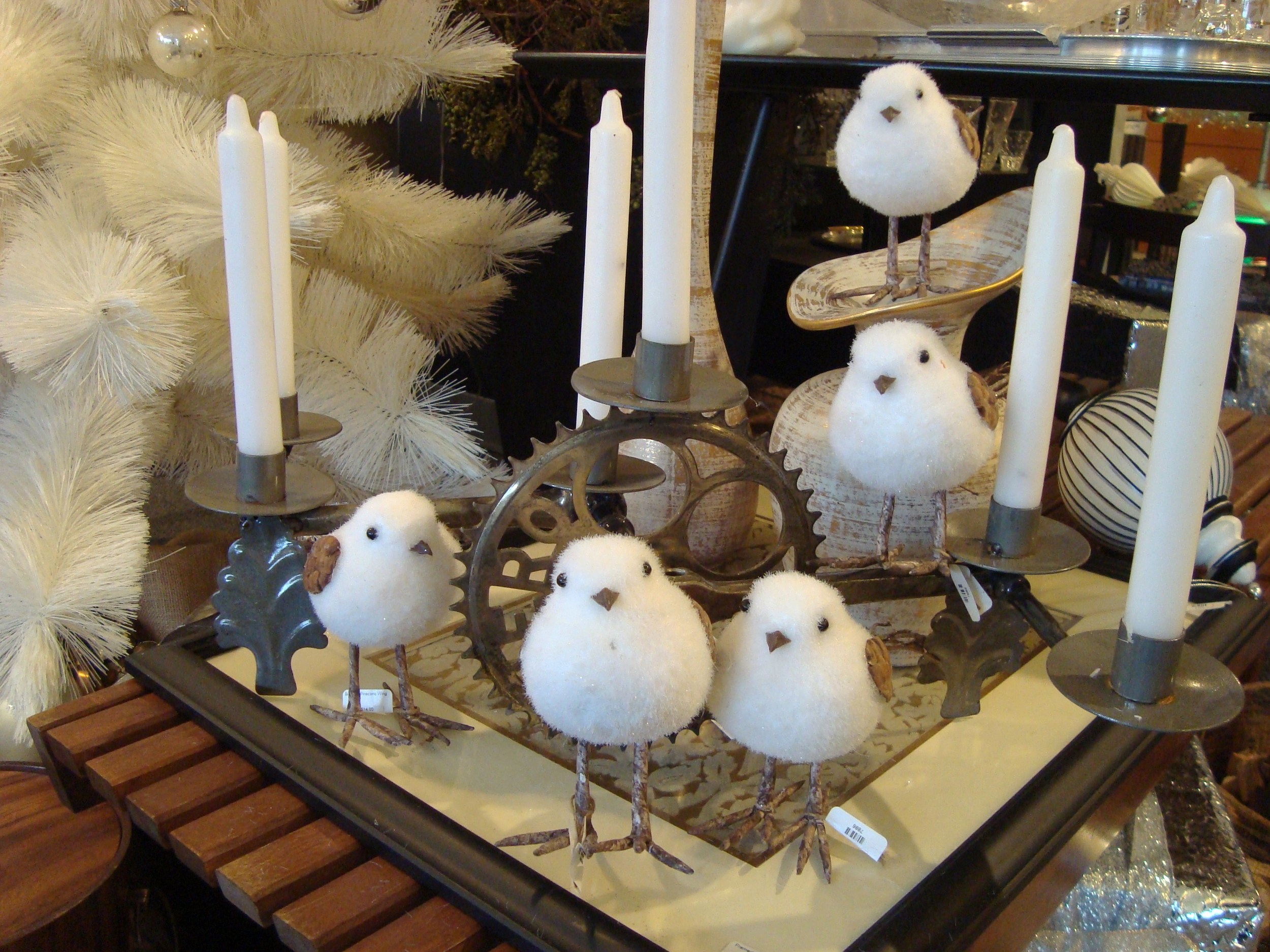 5 snow birds.jpg