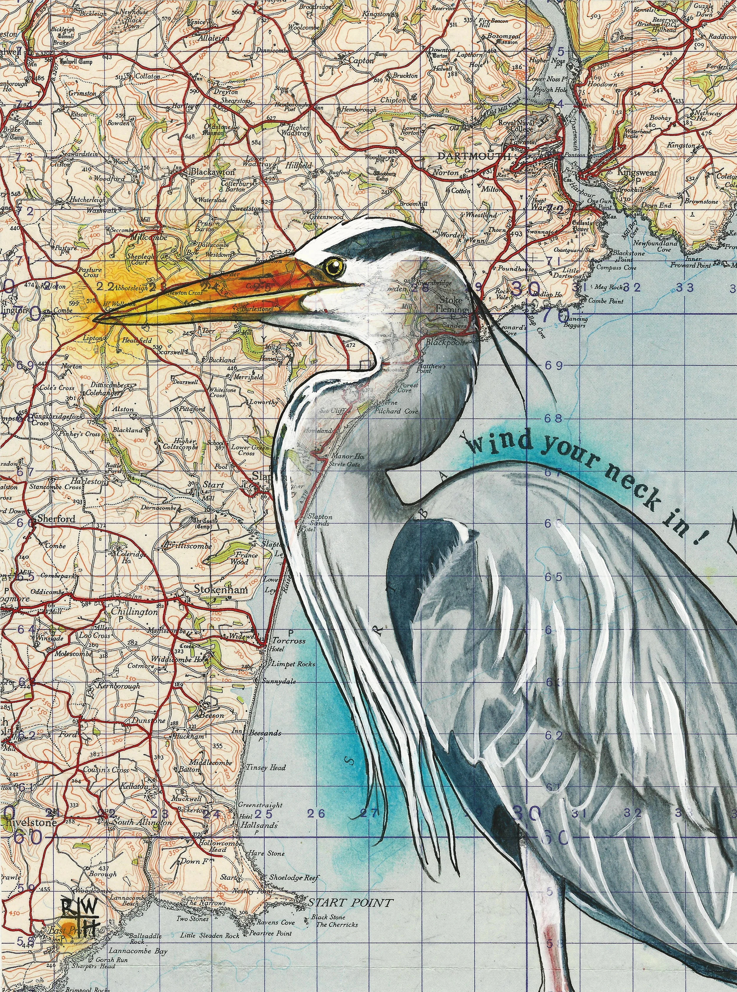 Dartmouth Heron