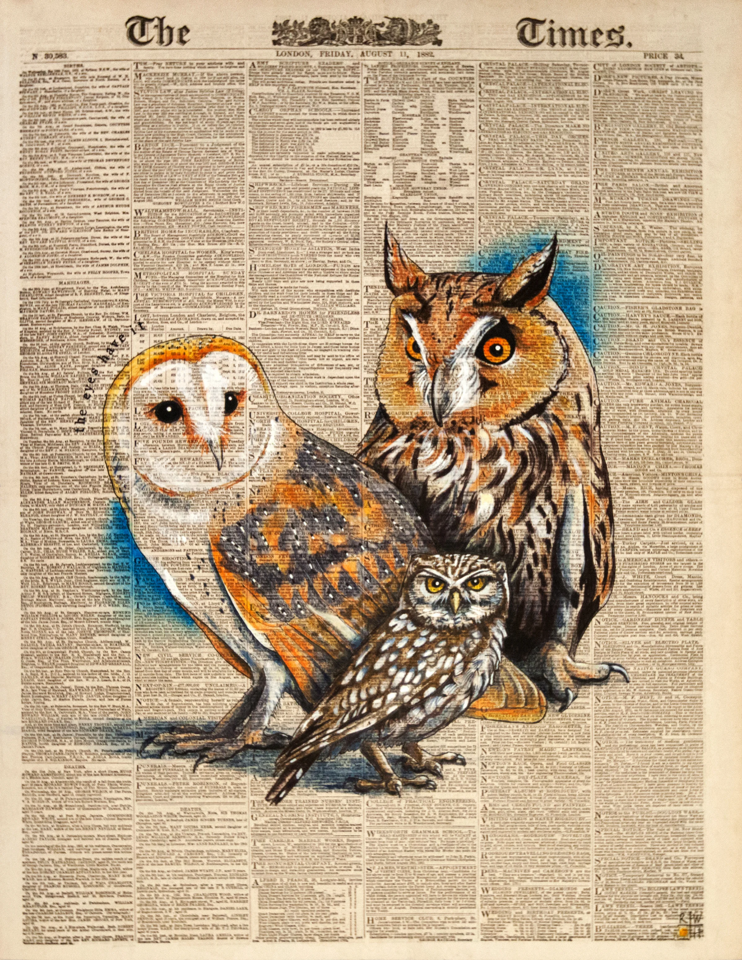 A parliament of owls