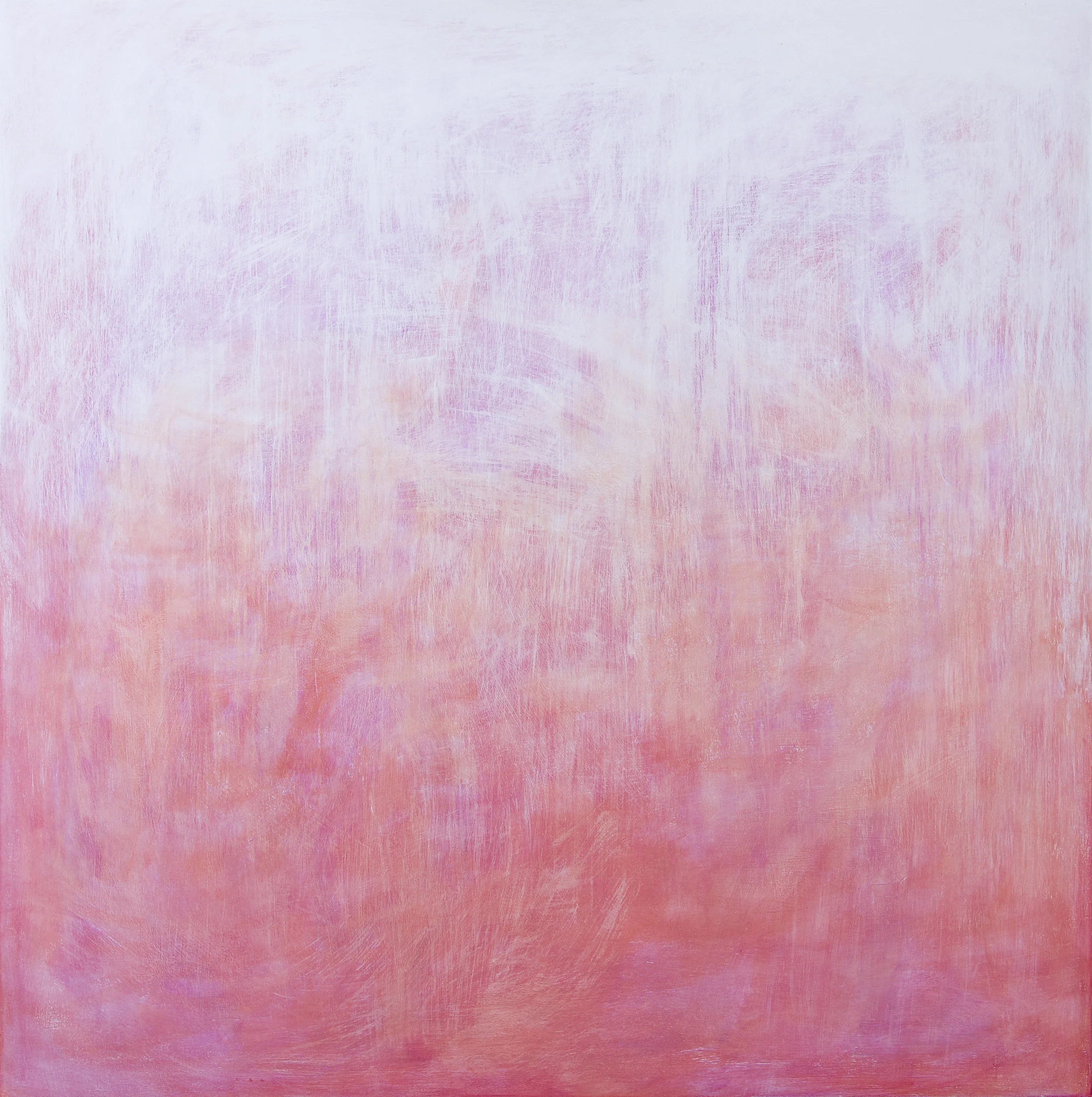 Morning Blush