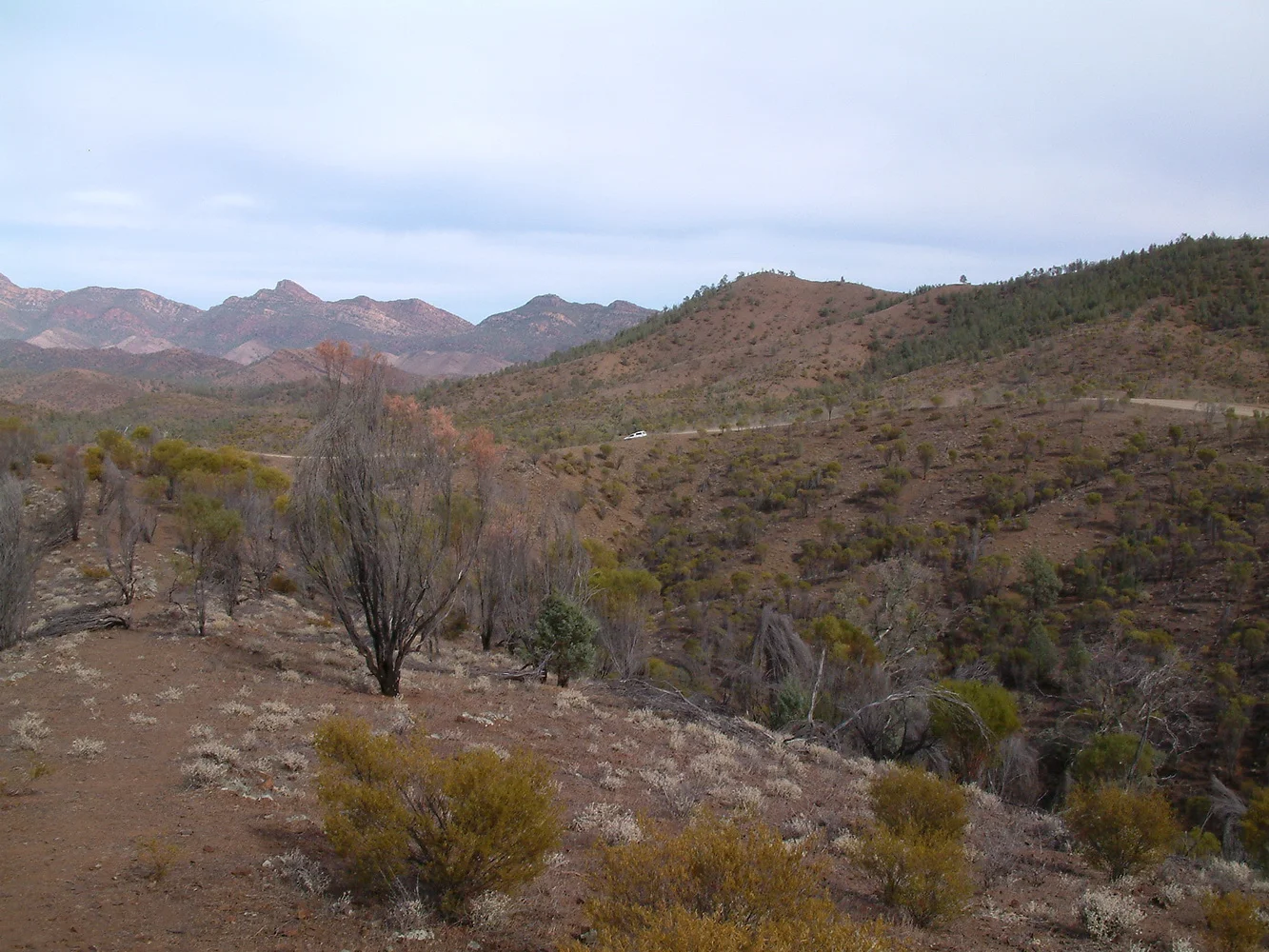 The lookout in the Flinders Ranges, part of the drive through Brachina Gorge.