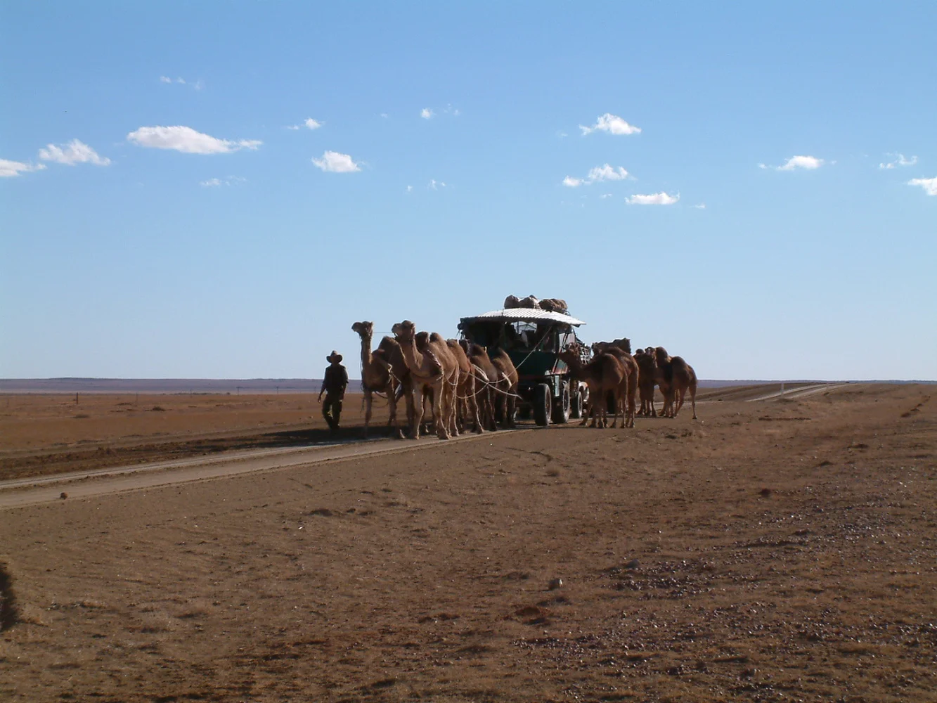 A chance encounter on the Oodnadatta Track.