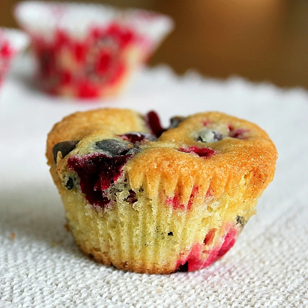 Cranberry Chocolate Chip Cupcakes