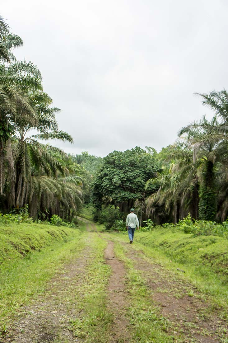 Finca in La Concordia