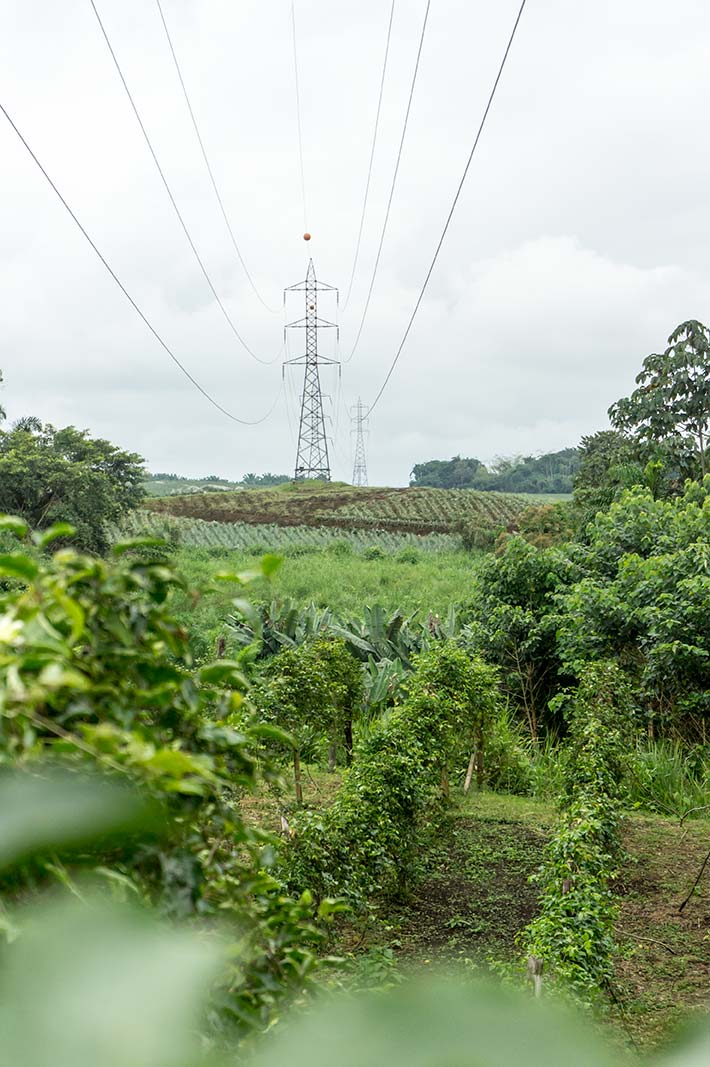 Finca in La Concordia