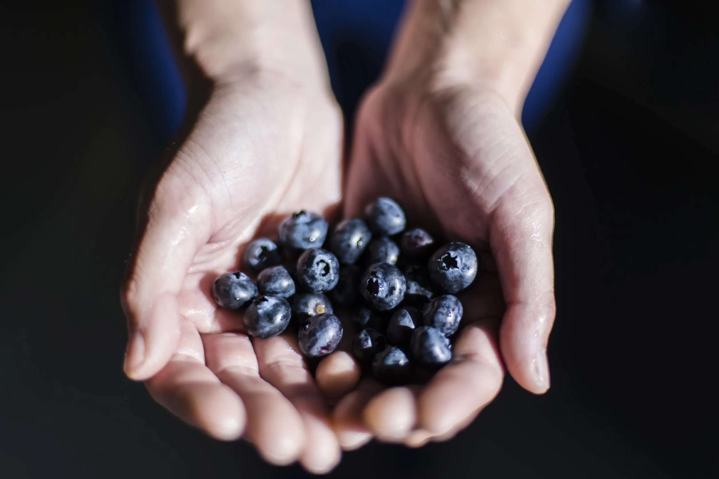 Blueberries96.jpg