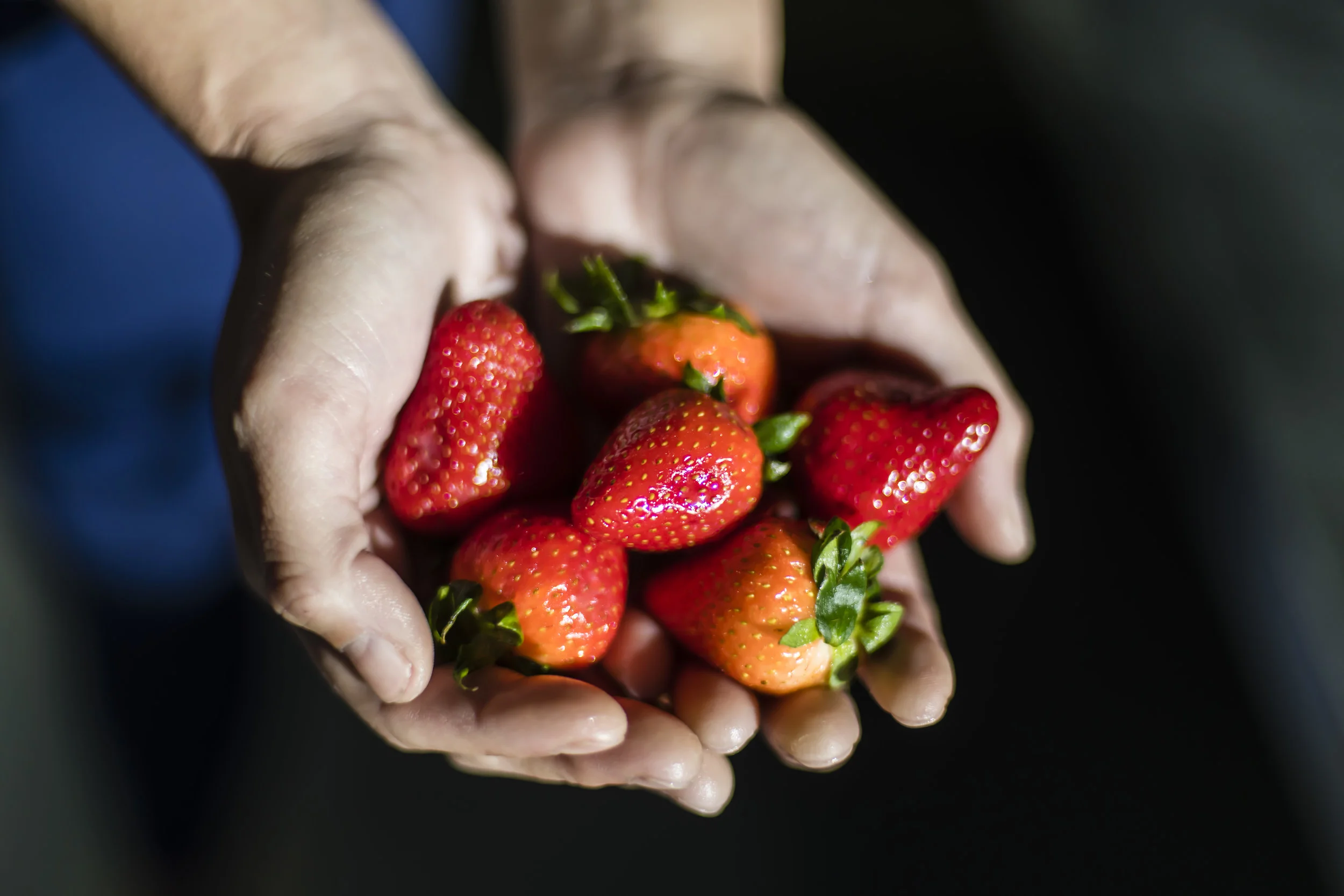 Strawberries83.jpg