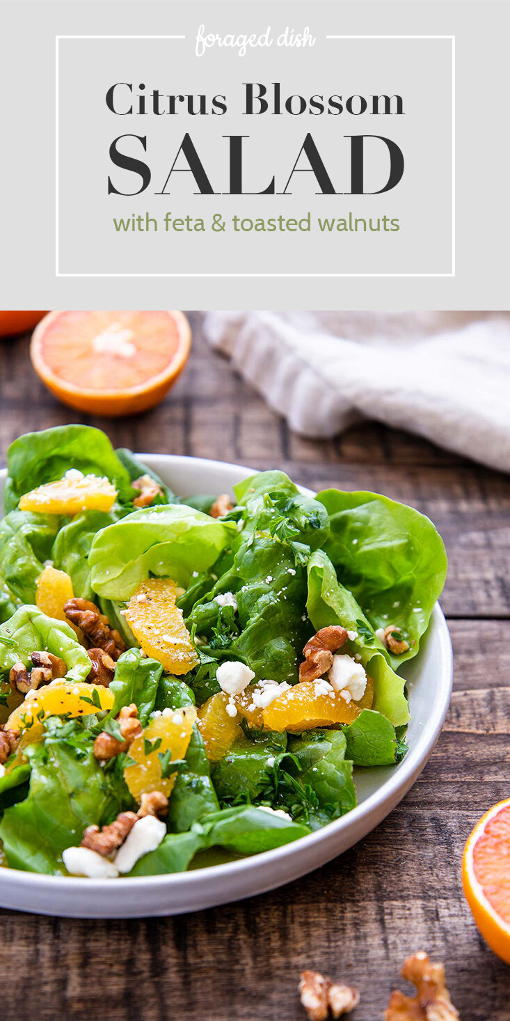 Citrus Blossom Salad