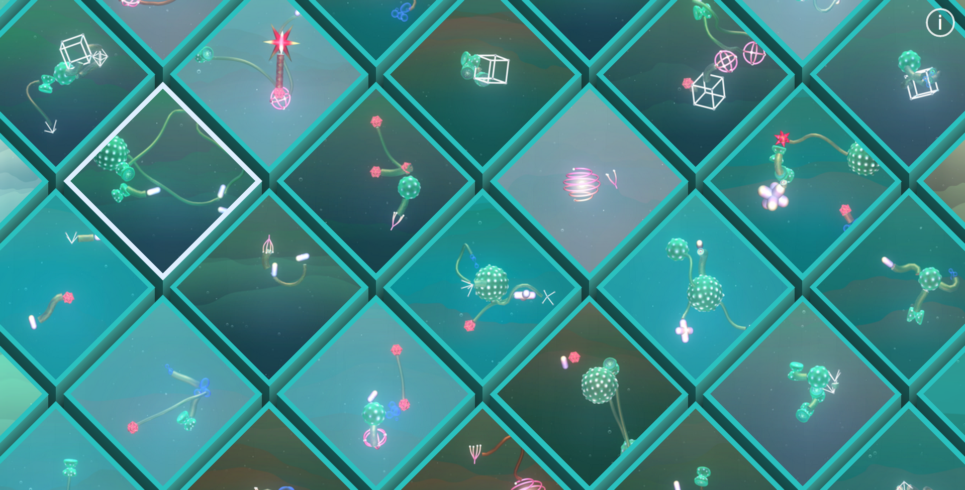 CURIO AQUARIUM