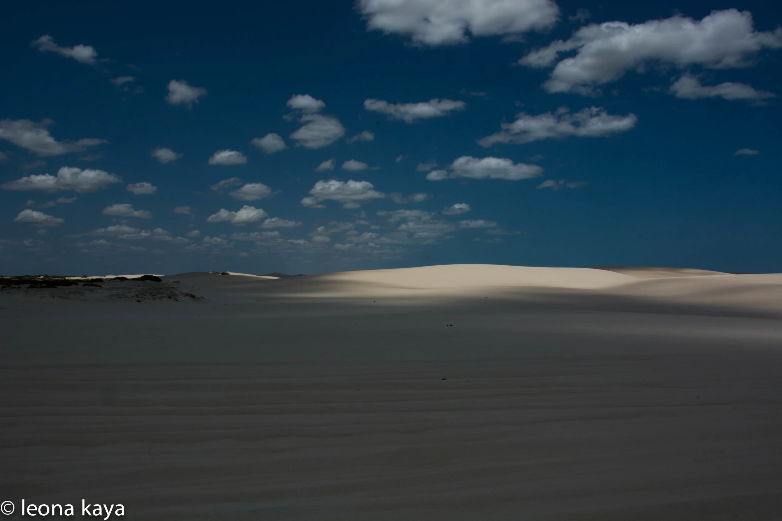 DSC_5635.jpg