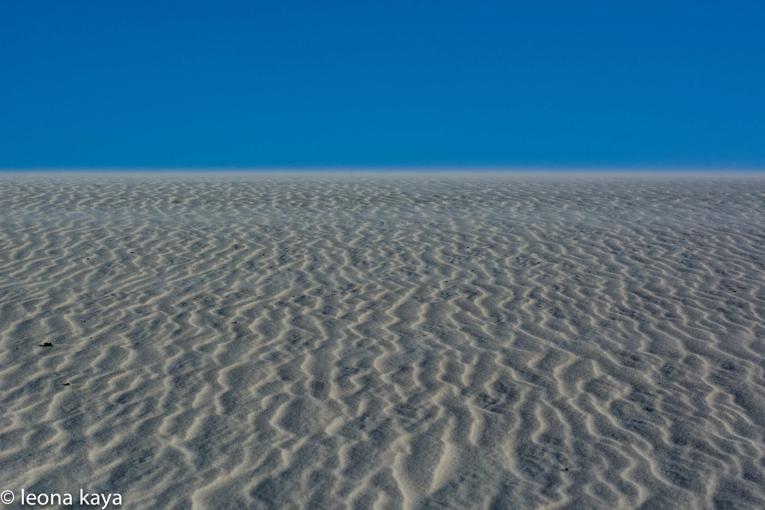 DSC_4799.jpg