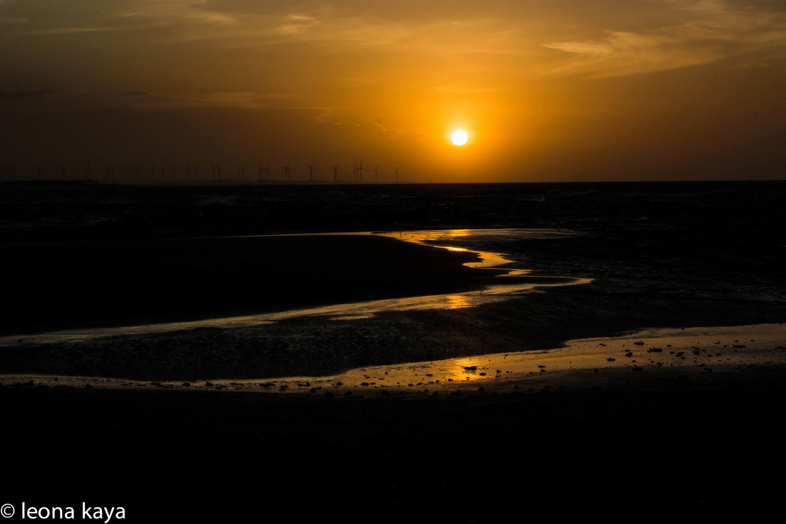 DSC_5995.jpg
