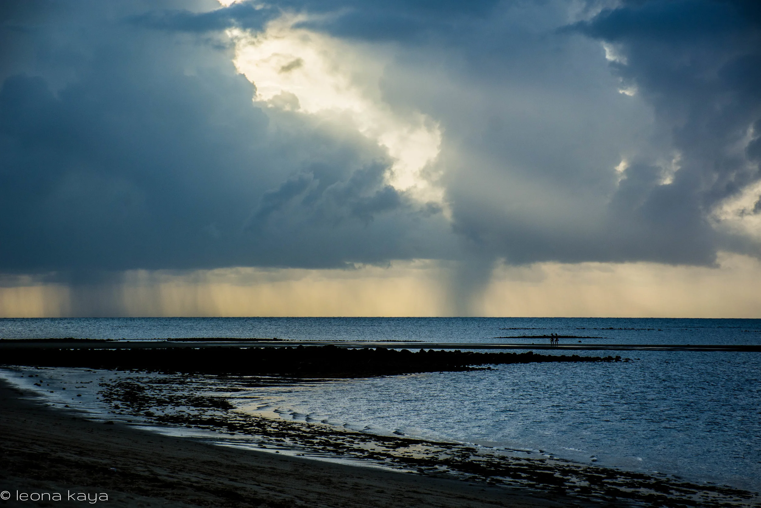DSC_6539.jpg