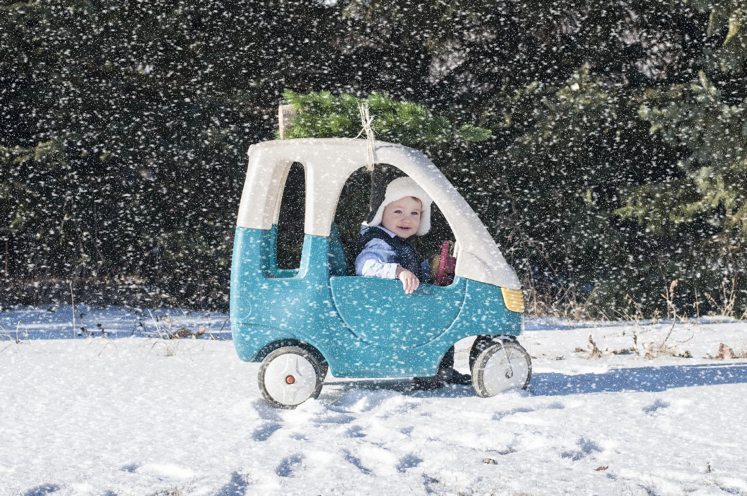 DSC_0074sno.jpg