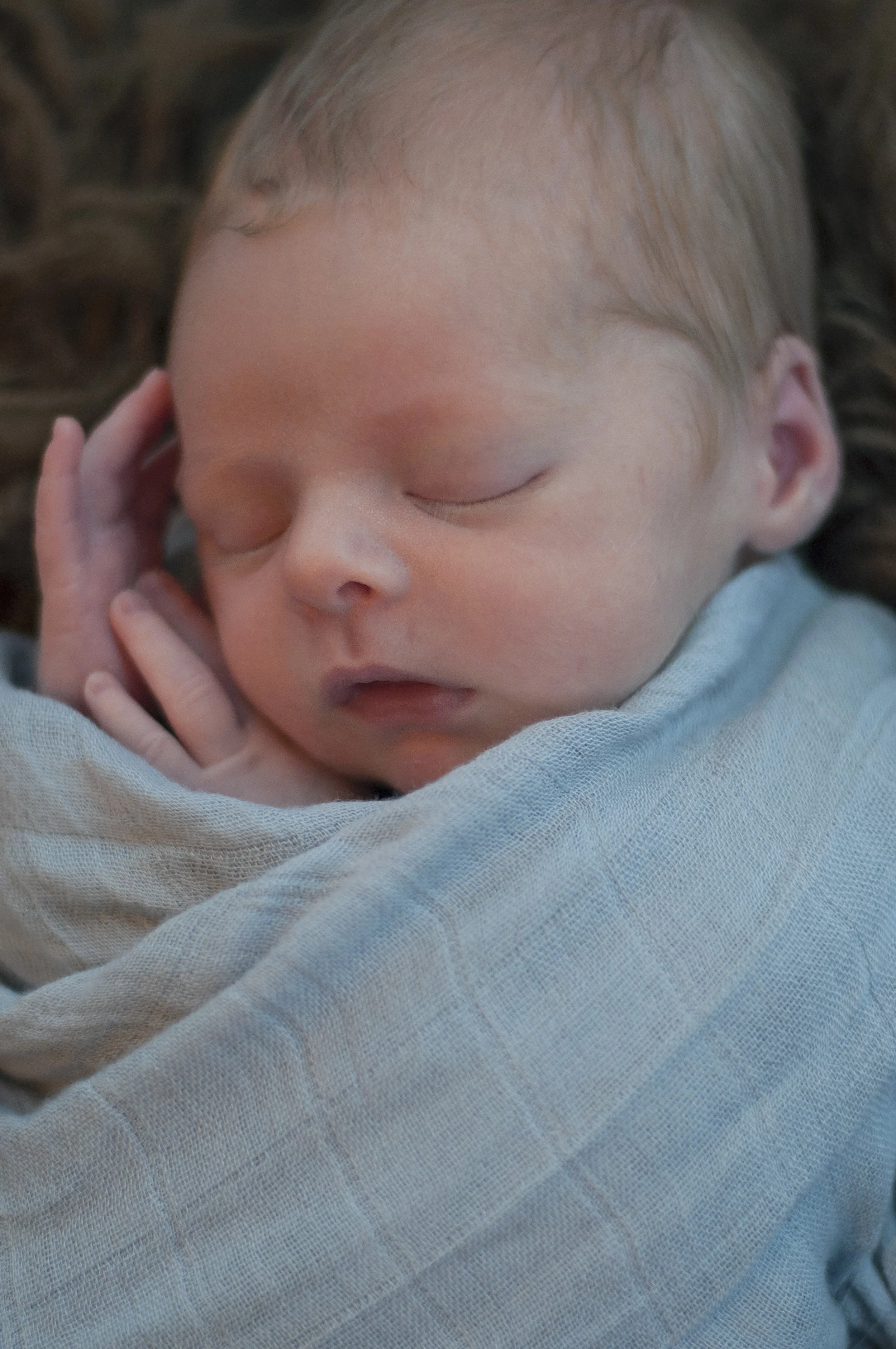 DSC_0178.jpg
