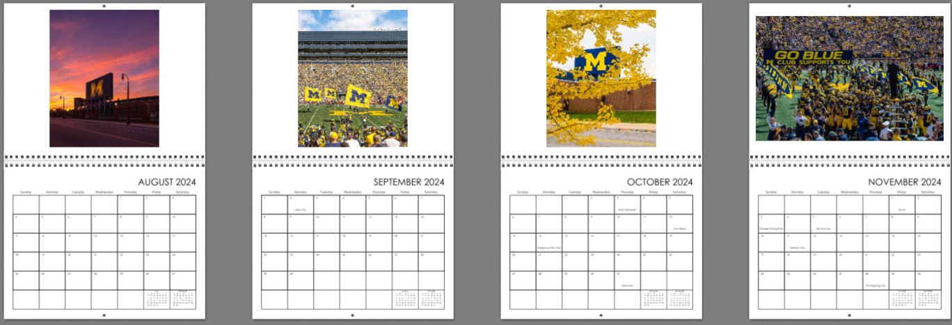2024 wall big house - 3.png