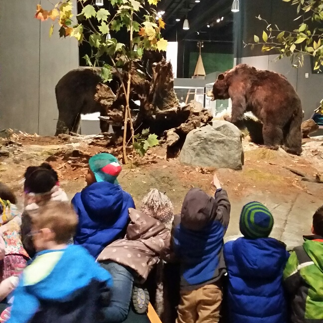 20150327_093905_resized.jpg