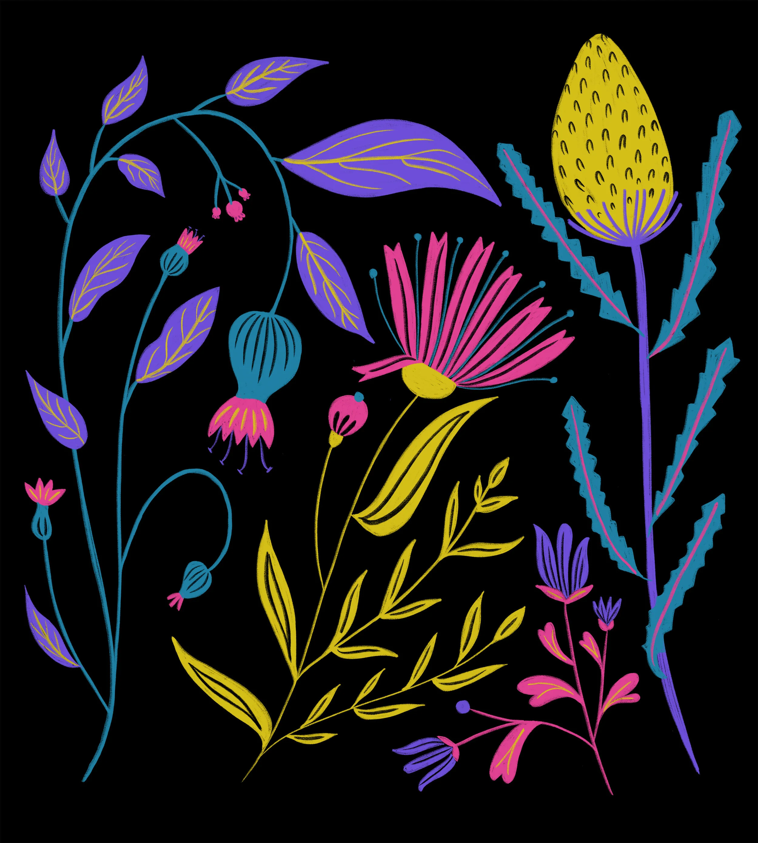 FloralStudy_2.jpg