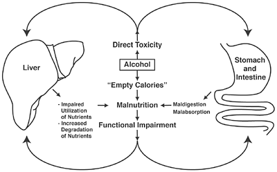 Eliminating alcohol cravings with Niacin — ELEMENTS OF RECOVERY