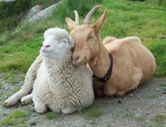 You're so needy!