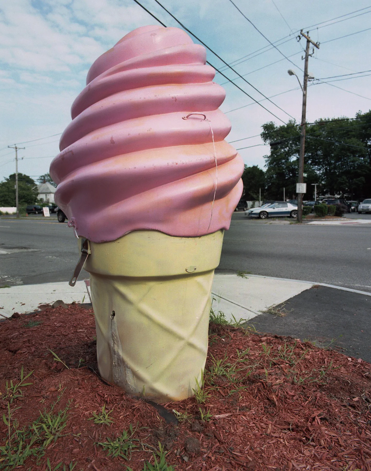 PinkCone.jpg