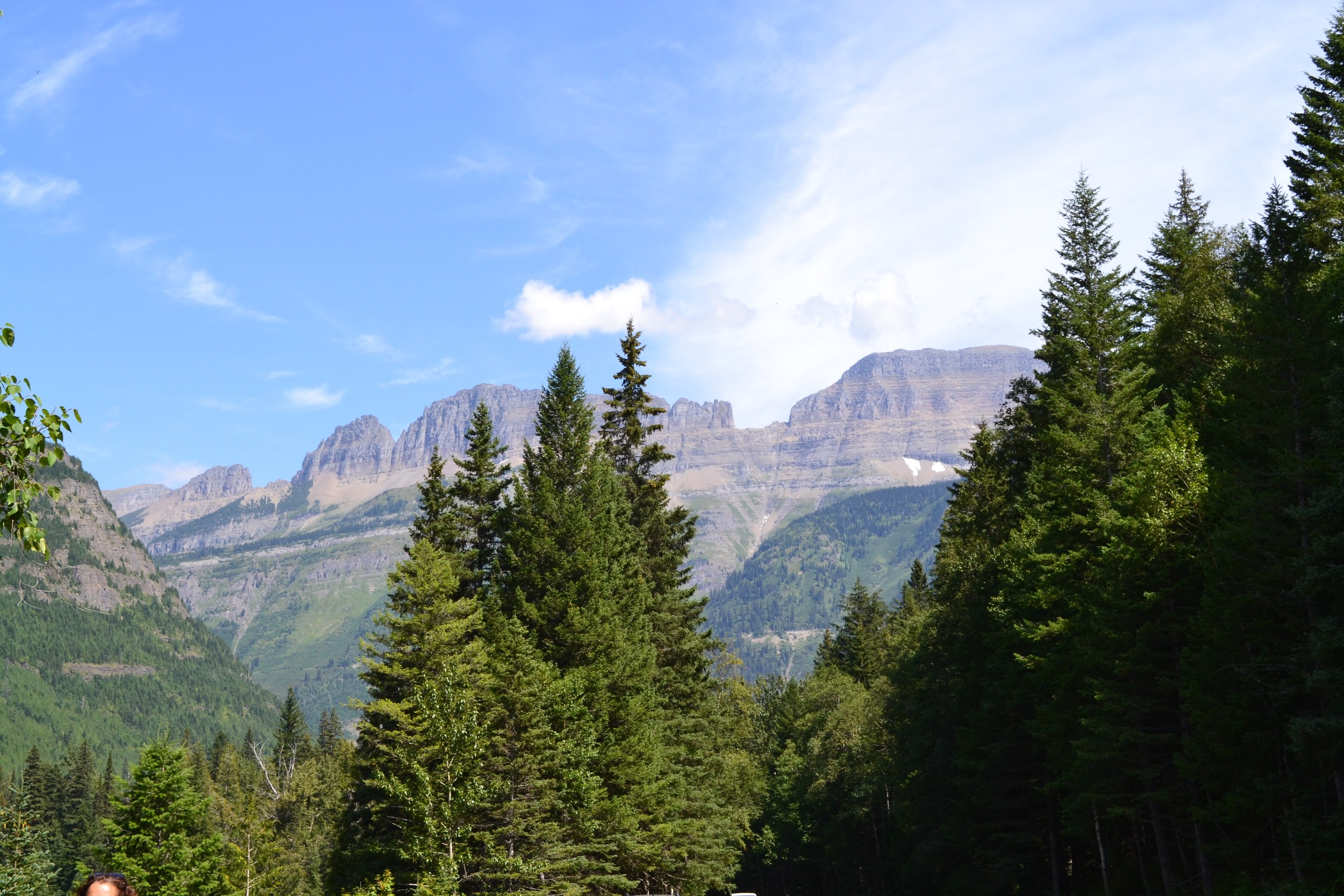 DSC_0594.jpg
