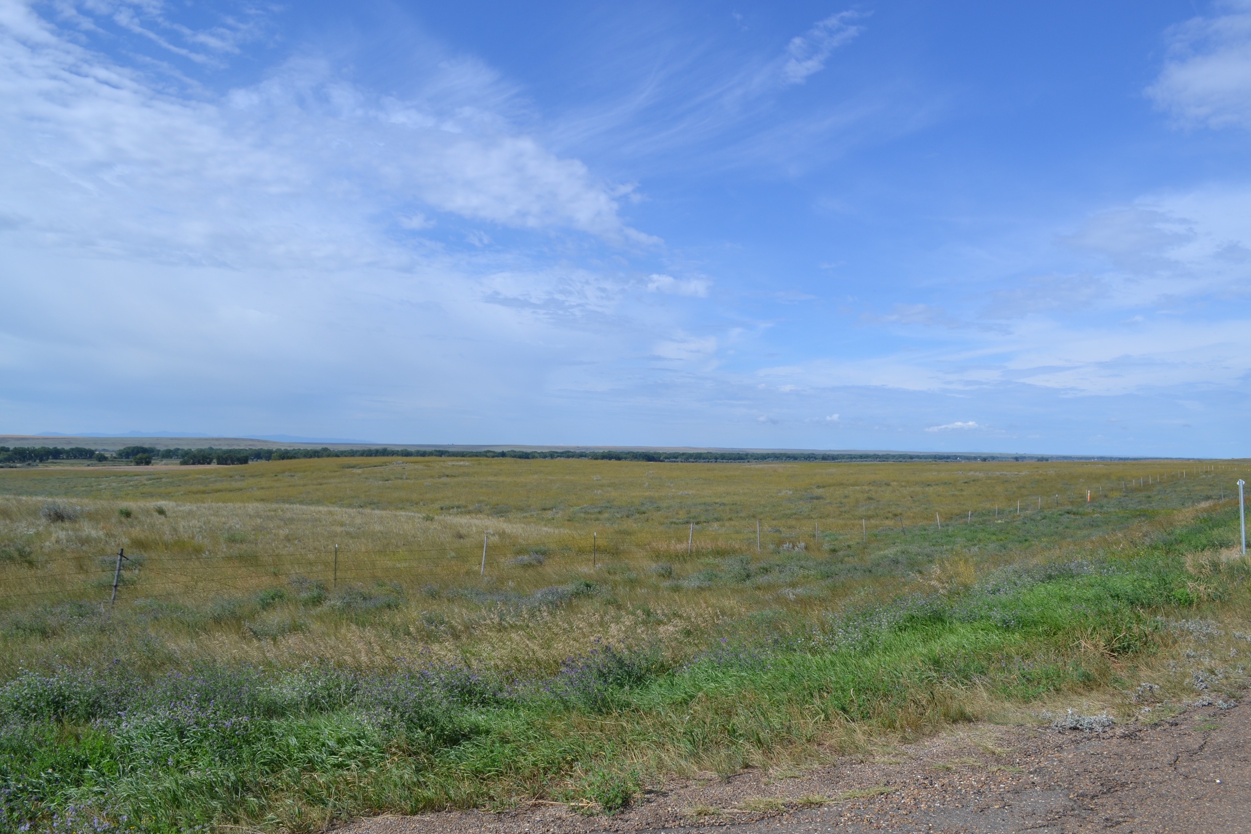 DSC_0751.jpg