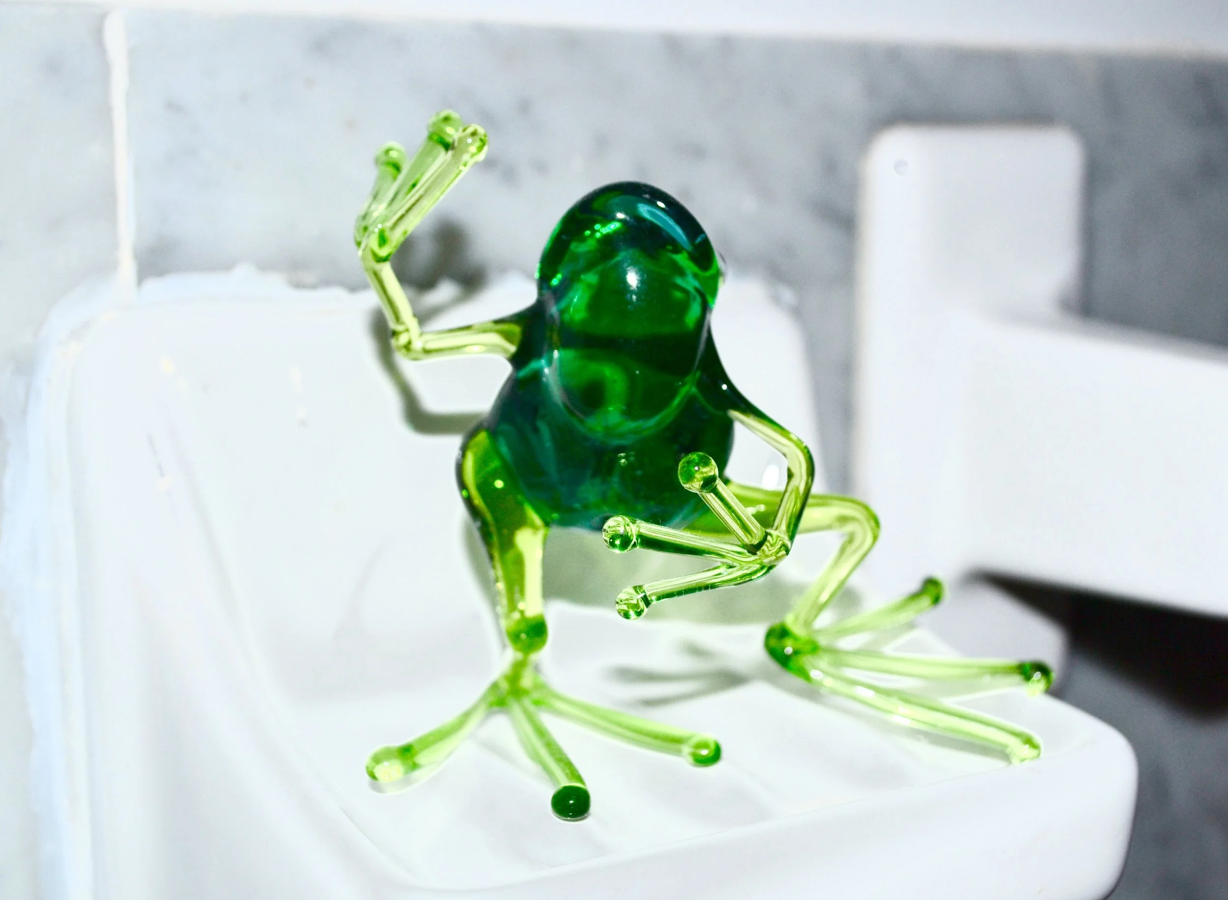Meet Francis the dancing frog!
