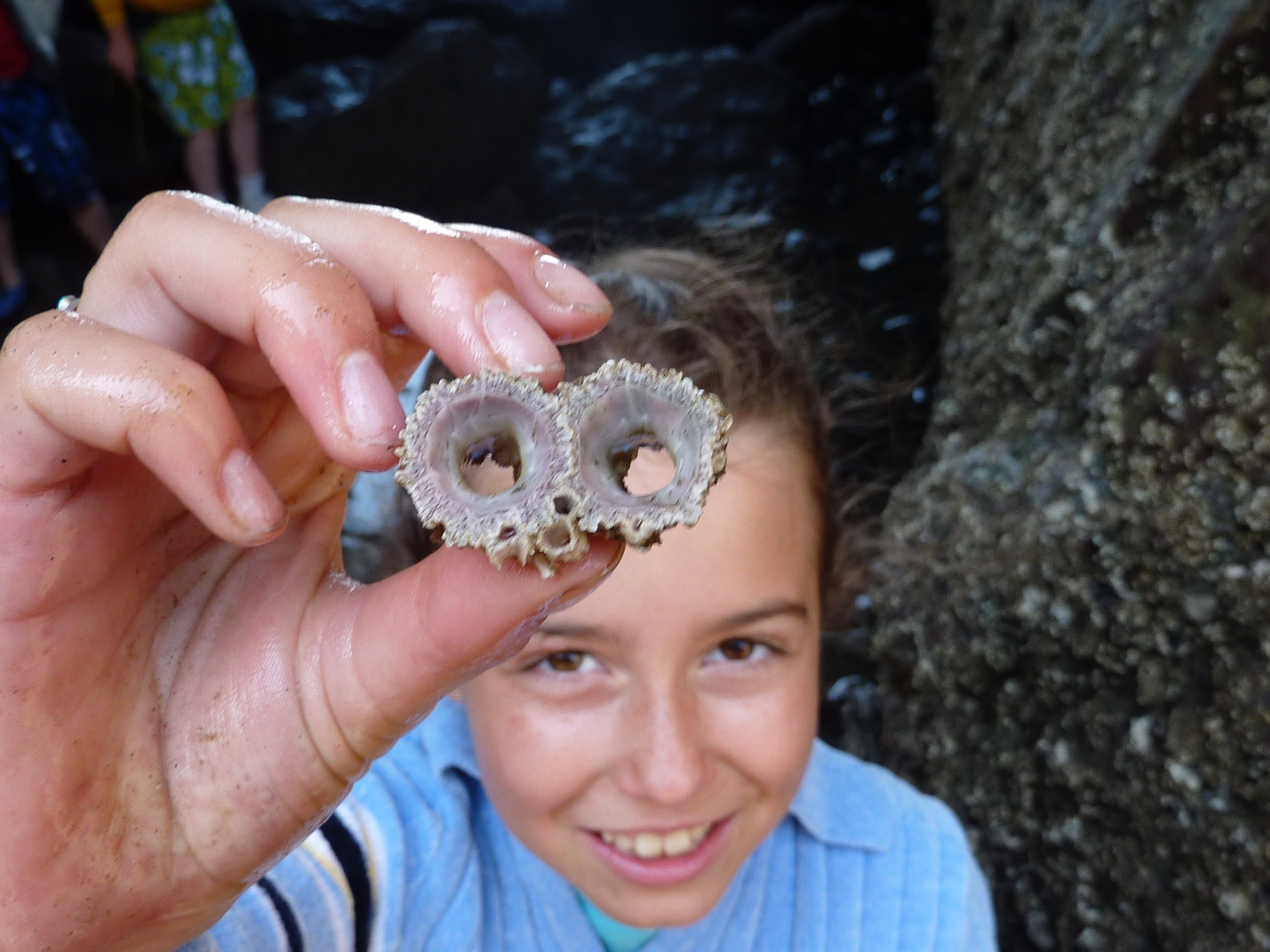 Exporing Oregon Tidepools, 2009