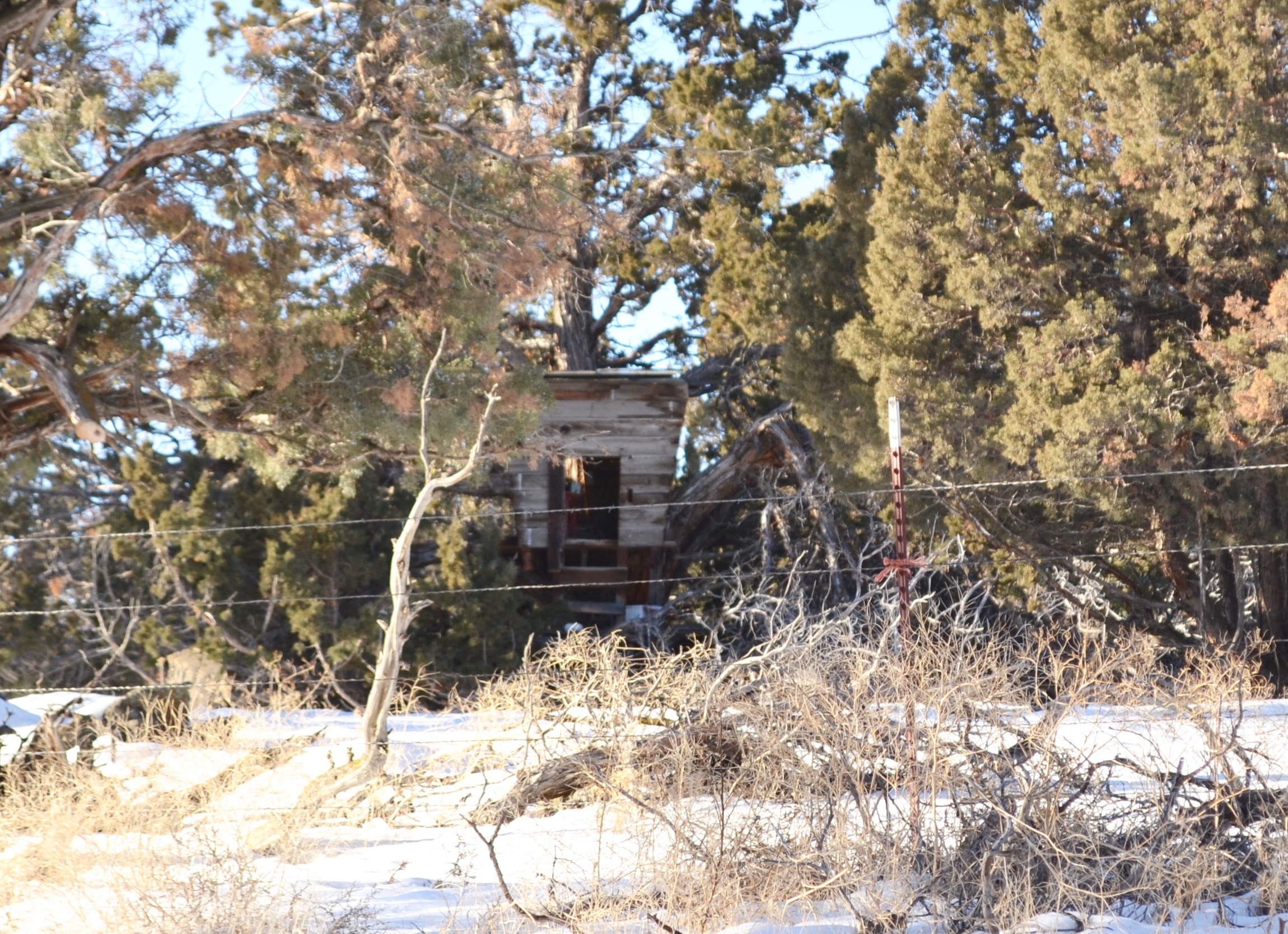 My treehouse, Silver Lake, Ore.