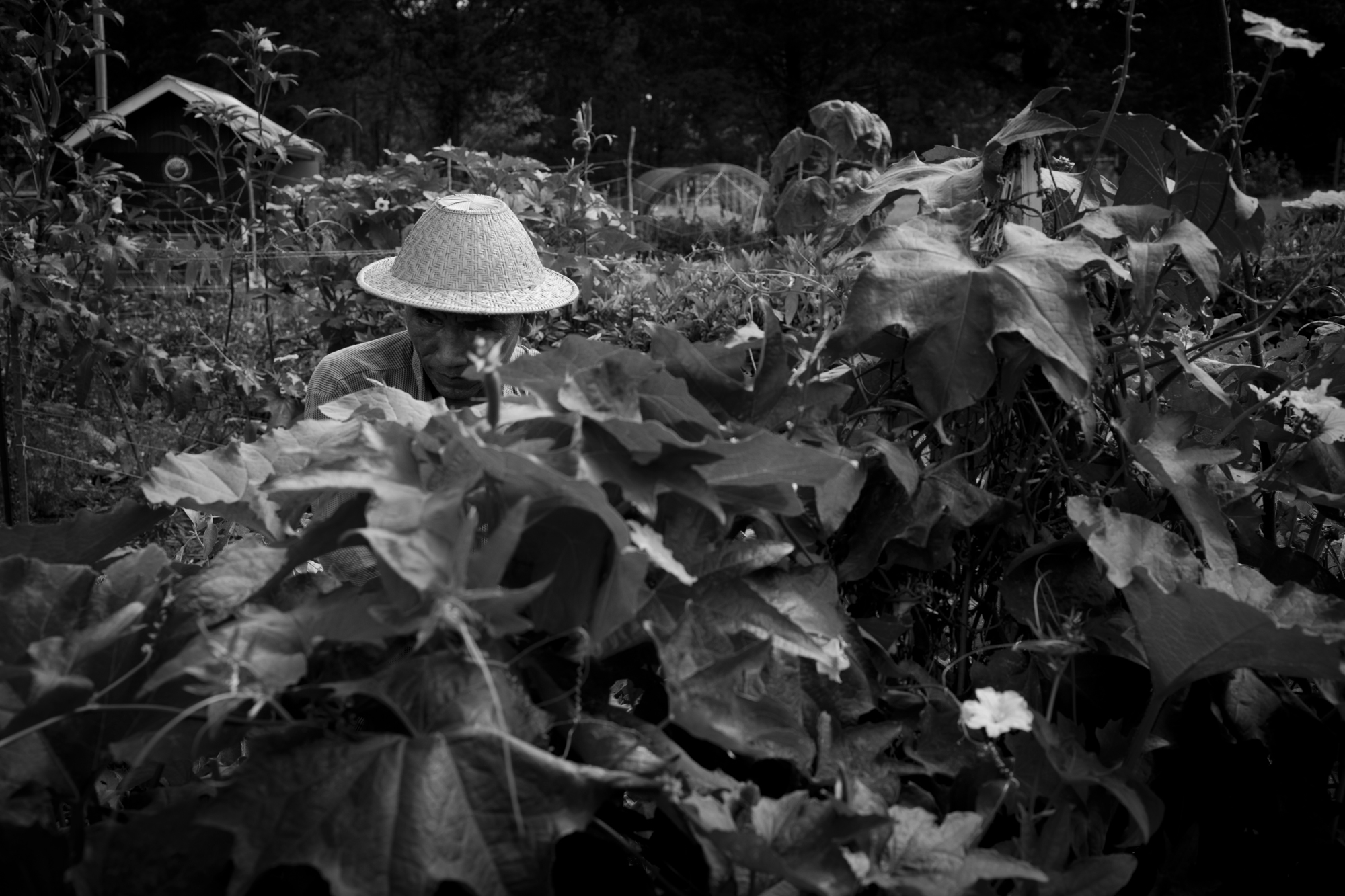 20120907_0595.jpg