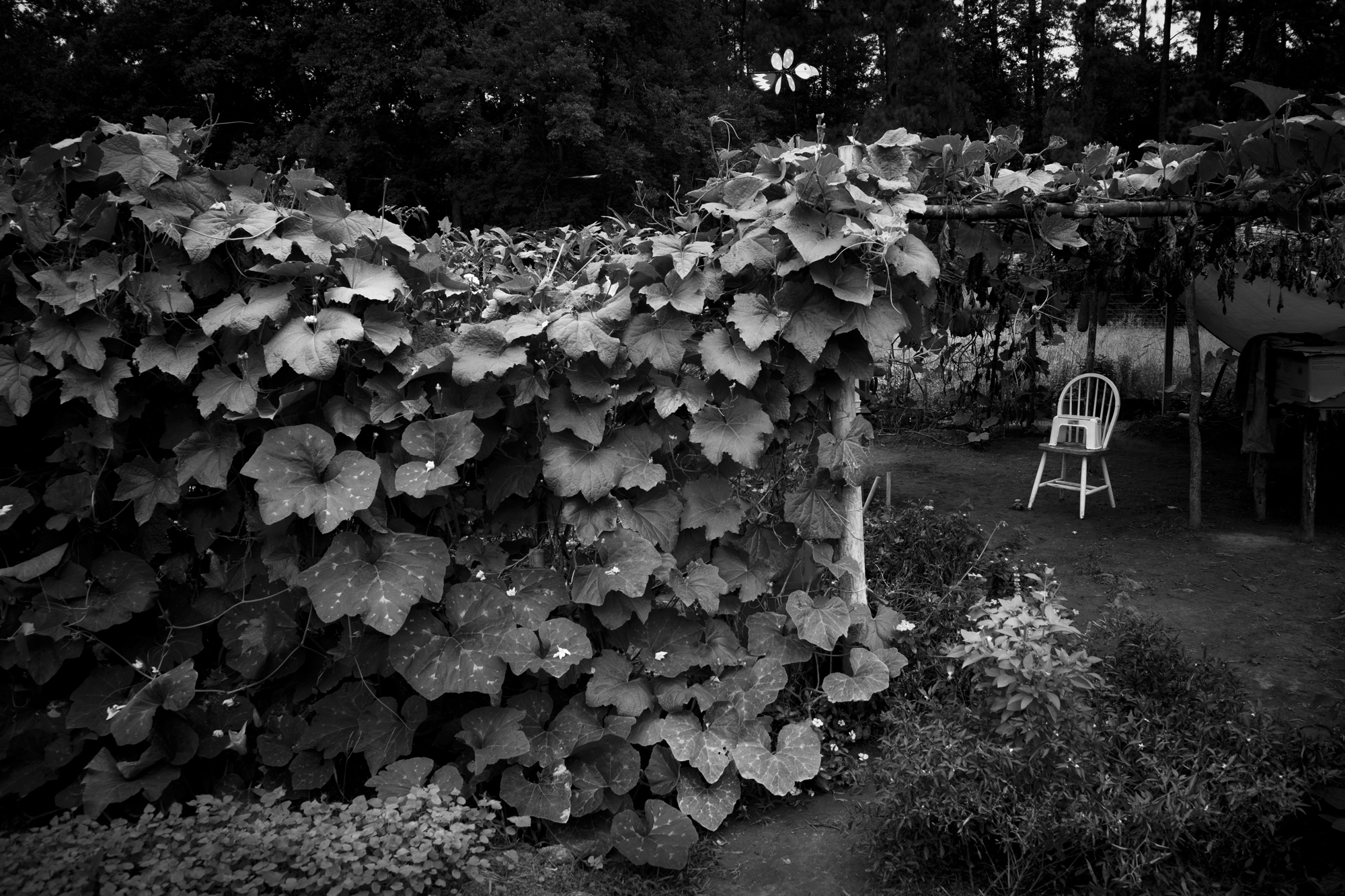 20120824_45.jpg