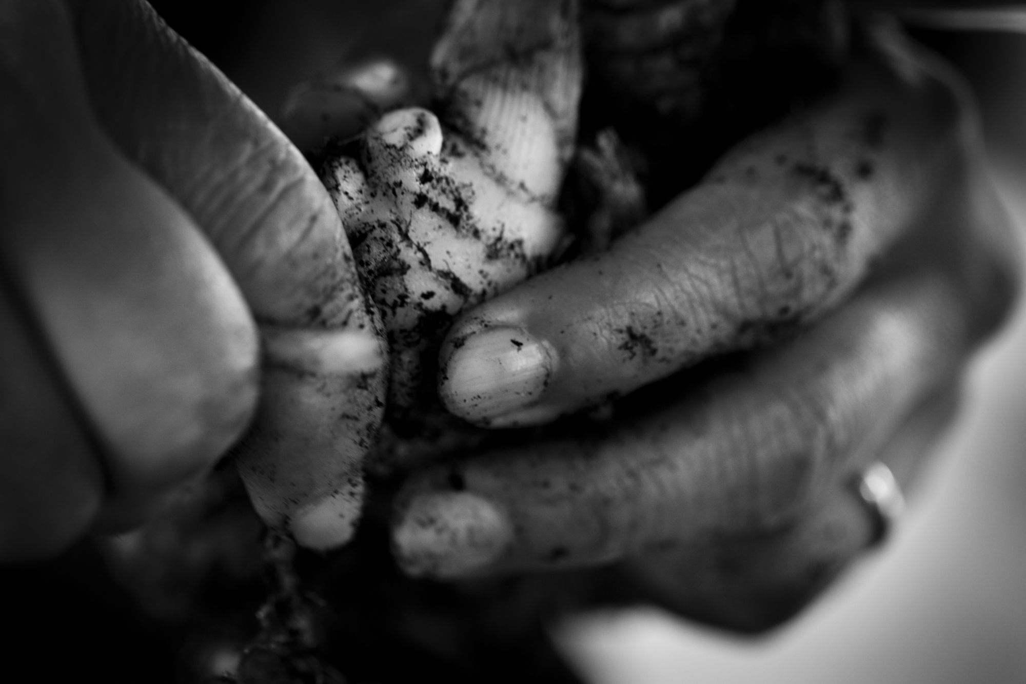 20120914_0198 copy.jpg